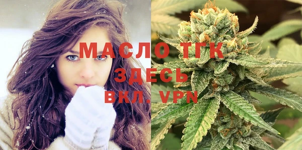 гидра Наволоки