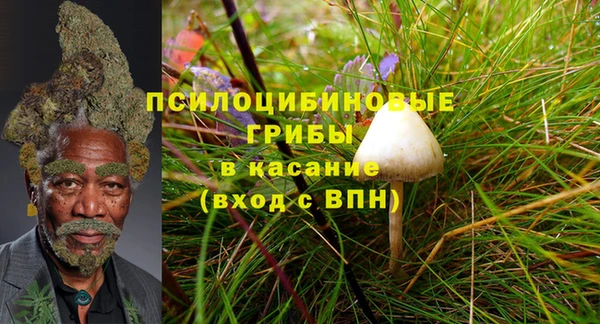 гидра Наволоки