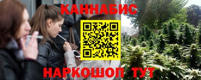 индика Беслан